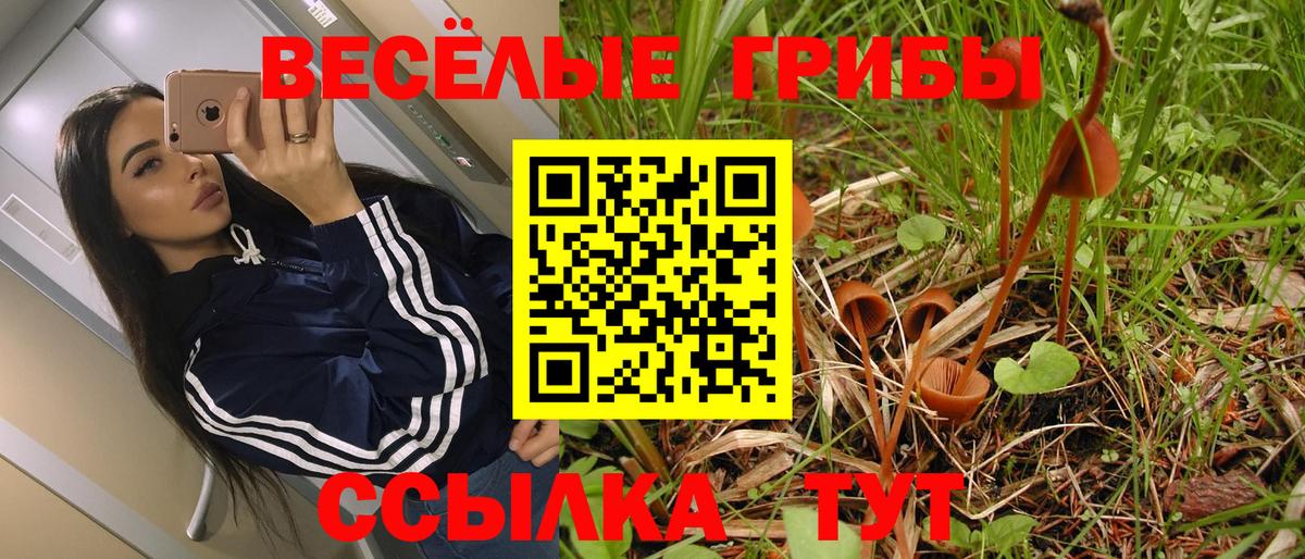 Псилоцибиновые грибы Psilocybe Ростов Великий