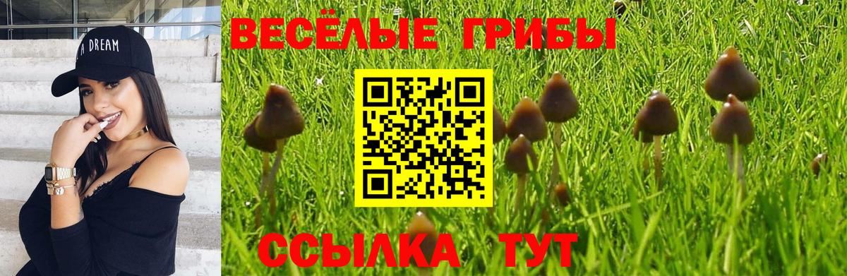 Ростов Великий  Галлюциногенные грибы мухоморы  Вход с VPN  Галлюциногенные грибы GOLDEN TEACHER 
